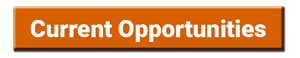 Current Opportunities Button