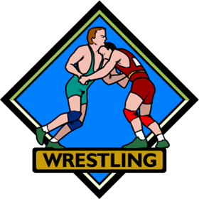 Wrestling Image