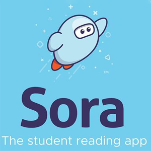Sora eBooks