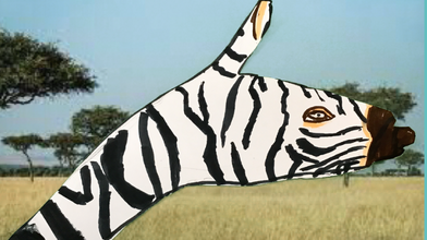  Zebra handimal on a safari background